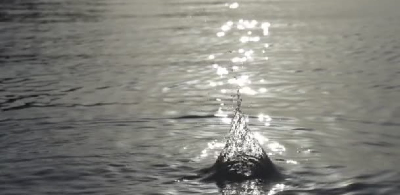 depositphotos_46763783-stock-video-stone-thrown-into-the-water