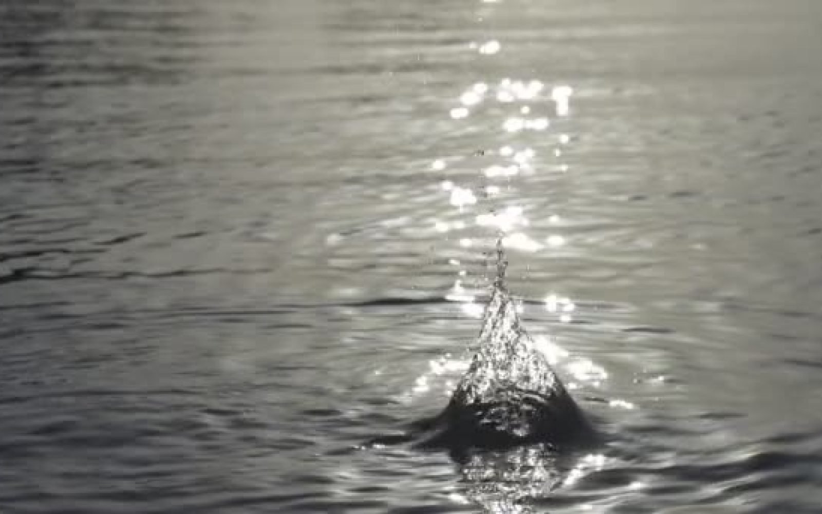 depositphotos_46763783-stock-video-stone-thrown-into-the-water