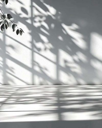 light-blue-leaves-casting-soft-shadows-on-a-white-background-creating-a-serene-and-elegant-atmosphere-free-video
