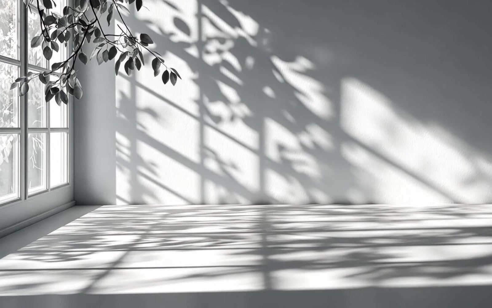 light-blue-leaves-casting-soft-shadows-on-a-white-background-creating-a-serene-and-elegant-atmosphere-free-video