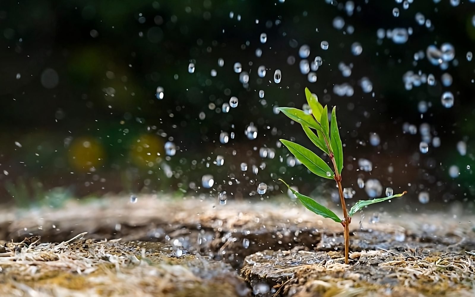 upscalemedia-transformed